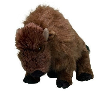 Miniature Bison