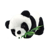 Miniature Panda